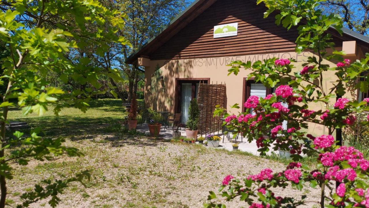 Malowane Apartment *