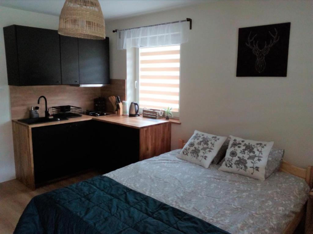 Malowane Apartment Kalwaria Paclawska