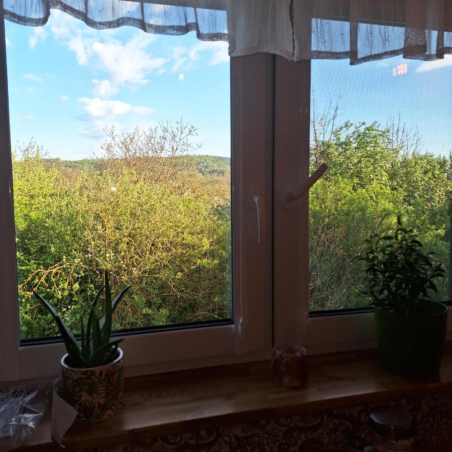 Apartment Malowane *